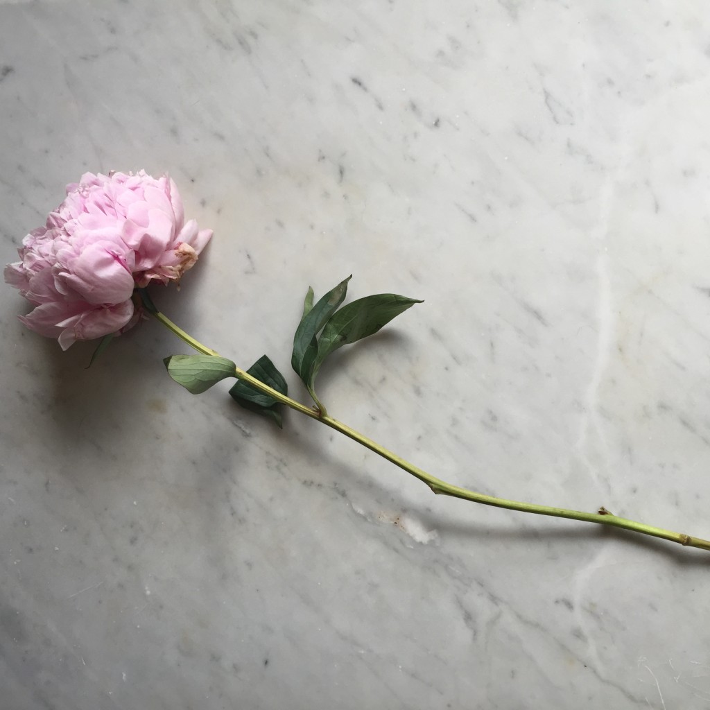 Peony and Marble