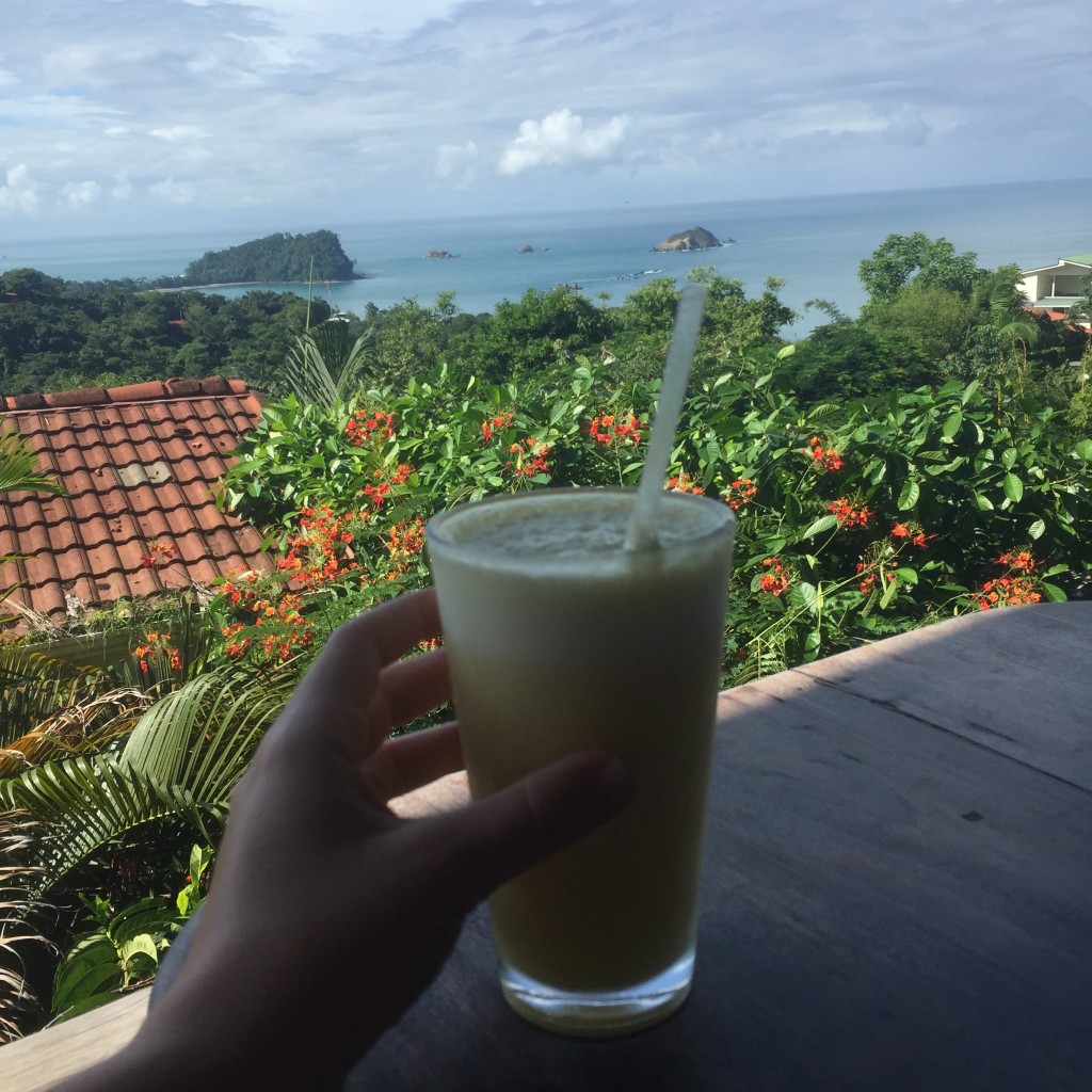 Costa Rica Juice