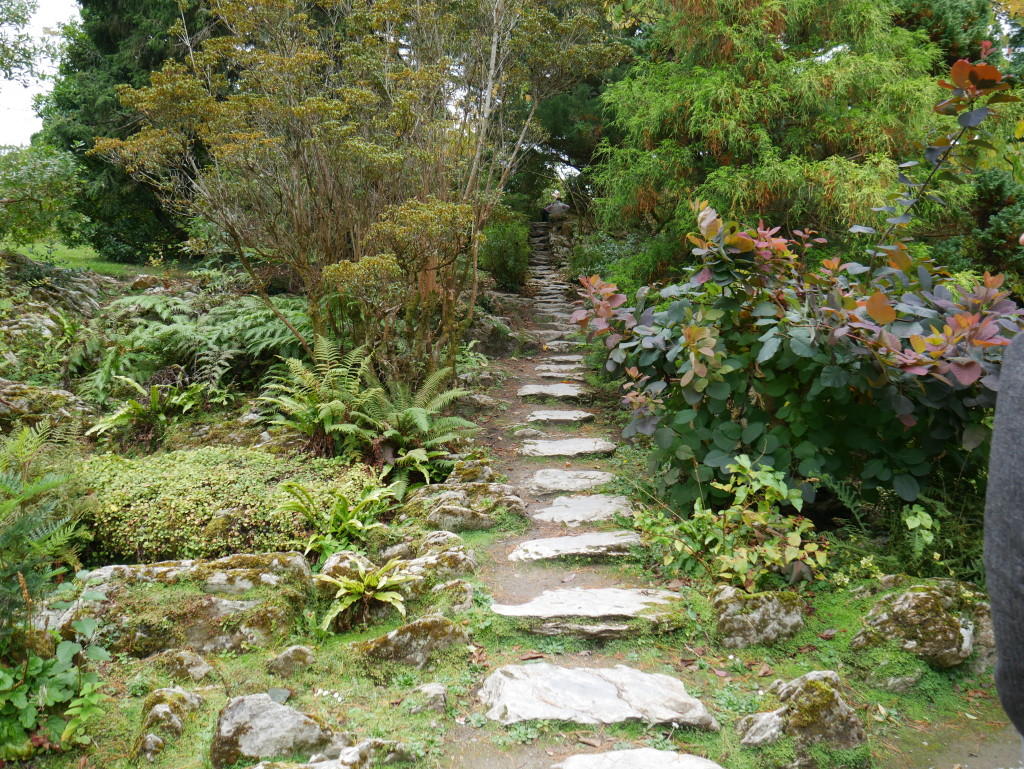 Muckross Garden