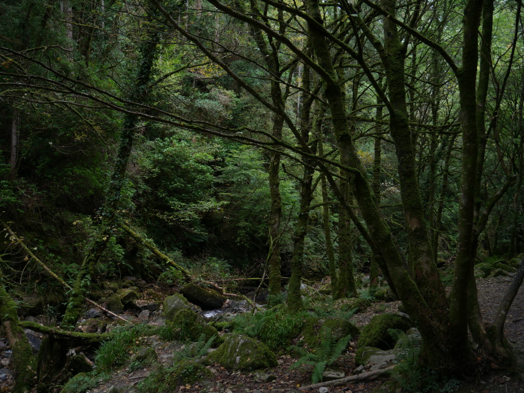 Torc Waterfall Park